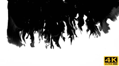 Ink Flowing From Top To Bottom on Wet Paper 01