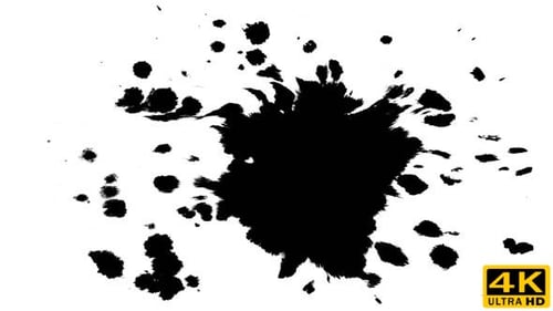 Expanding Black Ink Splatter on White Background