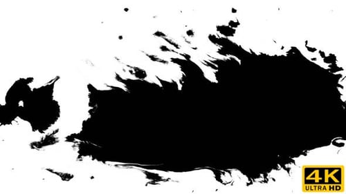 Abstract Black Ink Drops Splatter on White