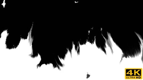 Ink Flowing From Top To Bottom on Wet Paper 06