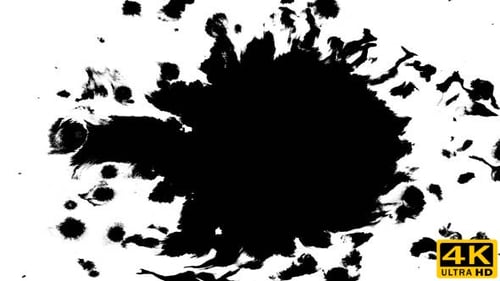 Abstract Black Ink Splashes on White Background