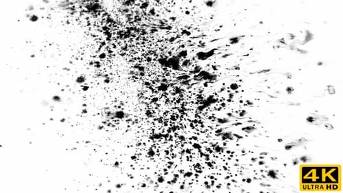 Dynamic Ink Splatter Creating Abstract Patterns on White