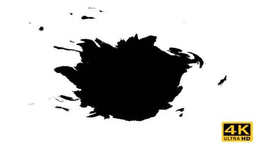 Ink Drops on Wet Paper 30