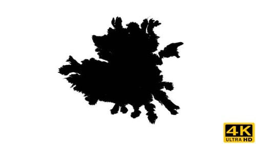 Expanding Black Ink Blot on White Background