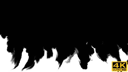 Ink Flowing From Top To Bottom on Wet Paper 04