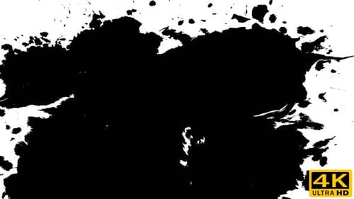 Abstract Black Ink Splatters on White Background