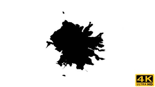 Black Ink Drop Spreads on White Background