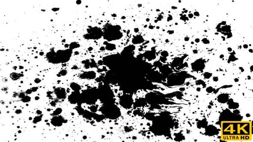 Dynamic Black Ink Splatters on White Background