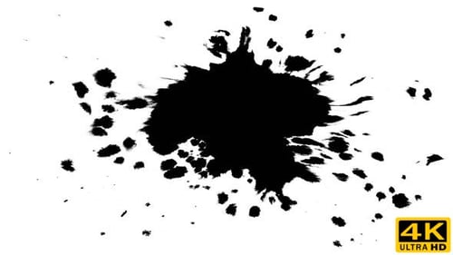 Ink Drops on Wet Paper 49