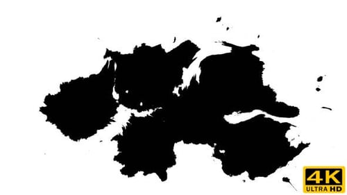 Black Ink Splatters Spreading on White Background
