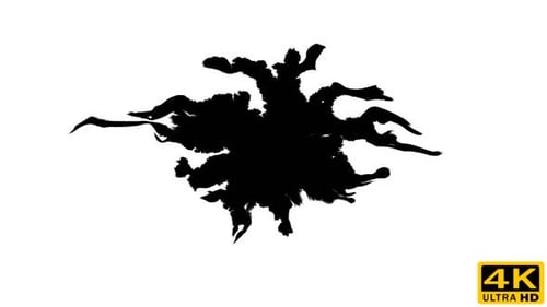 Ink Drops on Wet Paper 25