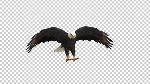 Eagle Landing Front View