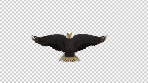 Eagle Landing