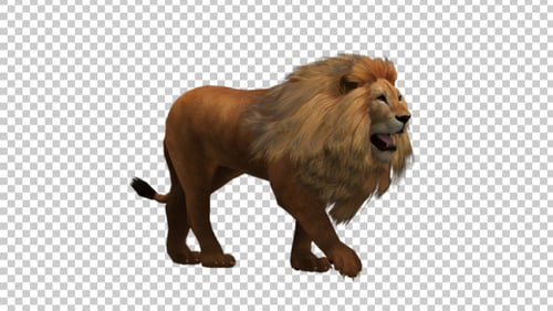 León andante