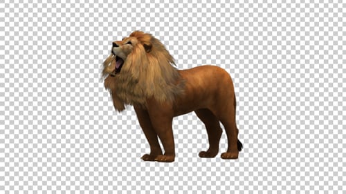 Animated 3D Lion Roaring Alpha Channel Clip
