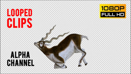 Antilope Realistic Pack 2