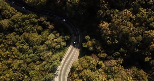 Aerial View of Car Driving Along The Winding Mountain Pass Road Through The Forest Trees. Autumn