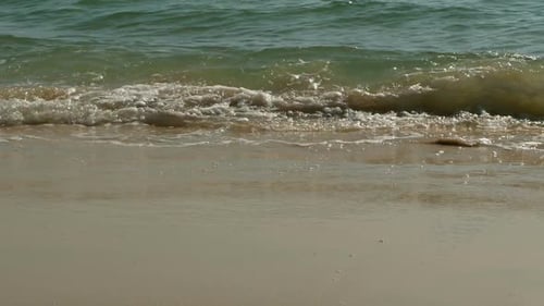 Sea