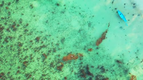 Aerial drone travel of marine coast beach journey by shallow lagoon and white sandy background of a