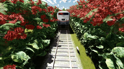 Zug und Natur
