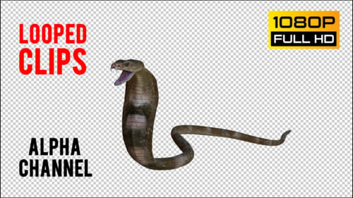 Cobra 2 Realistic Pack 4