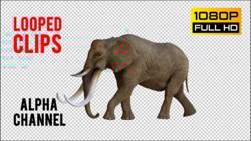 Realistic 3D Elephant Walking Loop Animation