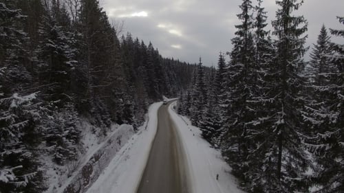 Conducción de automóviles en carretera de invierno en bosque cubierto de nieve, vista aérea desde Zumbido