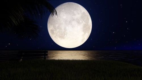 Serene Night Seascape with Full Moon and Stars