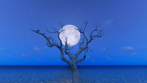 Serene Full Moon Night Sky with Bare Tree and Ocean