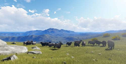 Flock of Sheep Grazing in Green Mountain Pasture Animation