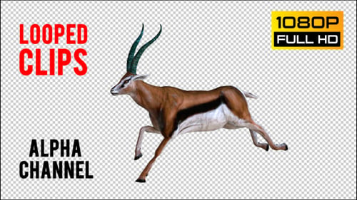 Antilope 4 Realistic Pack 4