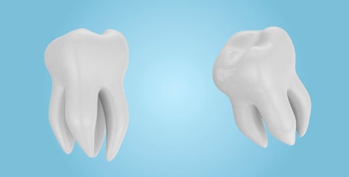 3D Animated White Human Teeth Rotating