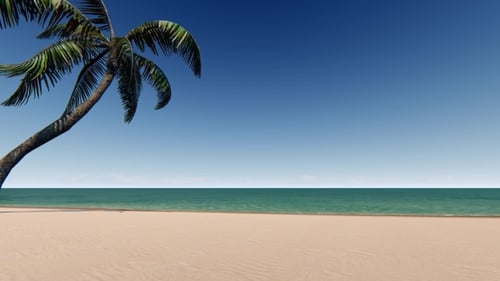 Sandstrand mit Palme und blauem Himmel
