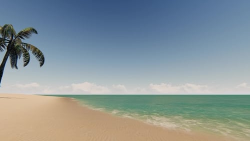 Sandy Beach with Palm Tree and Blue Sky