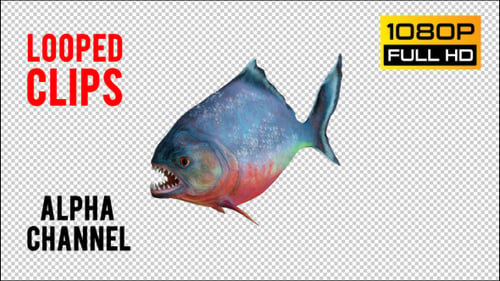Piranha 1 Realistic Pack 3