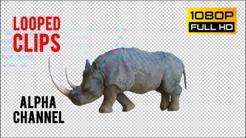 3D Realistic Rhinoceros Walking Looped Animation