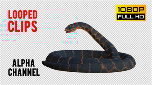 Animated 3D Snake Striking and Coiling with Alpha Channel