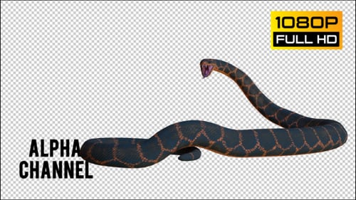 Animated 3D Snake Attack Motion Graphic