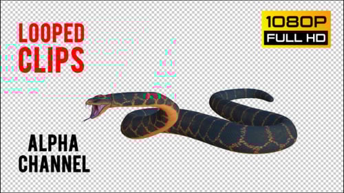 3D Animated Hissing Snake with Open Mouth and Flicking Tongue