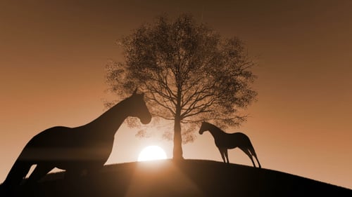 Animated Horses and Tree Silhouette at Sunset