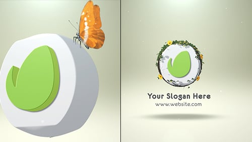 Flowers Butterfly Reveal