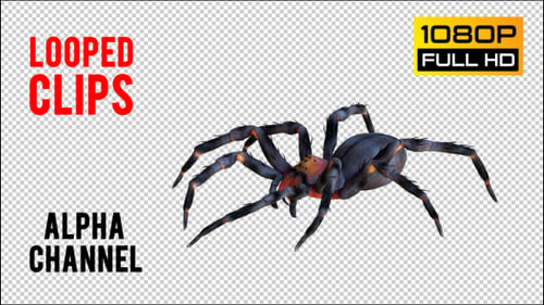 Spider 1 Realistic Pack 4