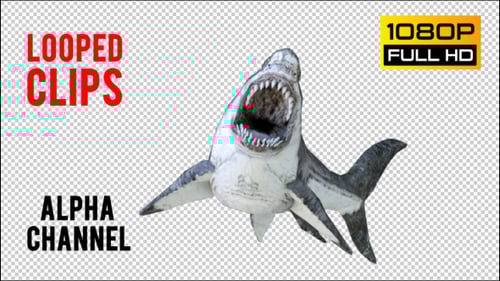 3D Animated Great White Shark Opening Mouth Loop with Alpha Channel