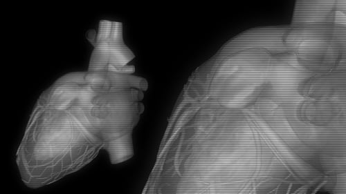 Futuristic 3D Human Heart Scanline Rotation Animation