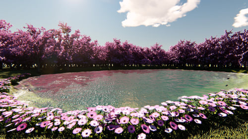 Beautiful Pond with Pink Flowers and Cherry Blossom Trees in Spring