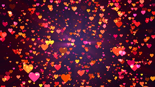 Partikel Heart Flights