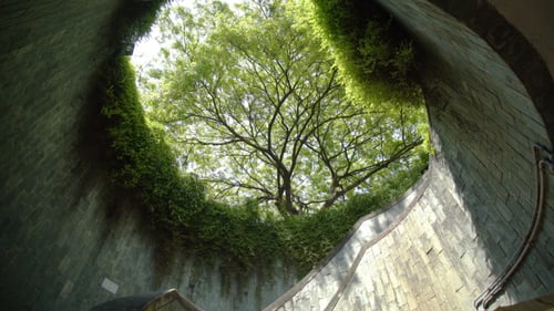 Park