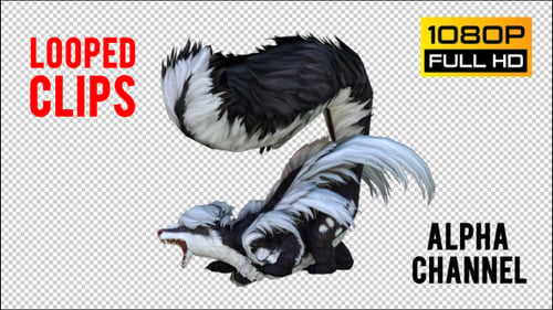 Skunk 2 Realistic Pack 4