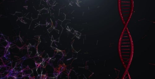 DNA Plexus Medical Backdrop