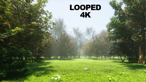 Forest